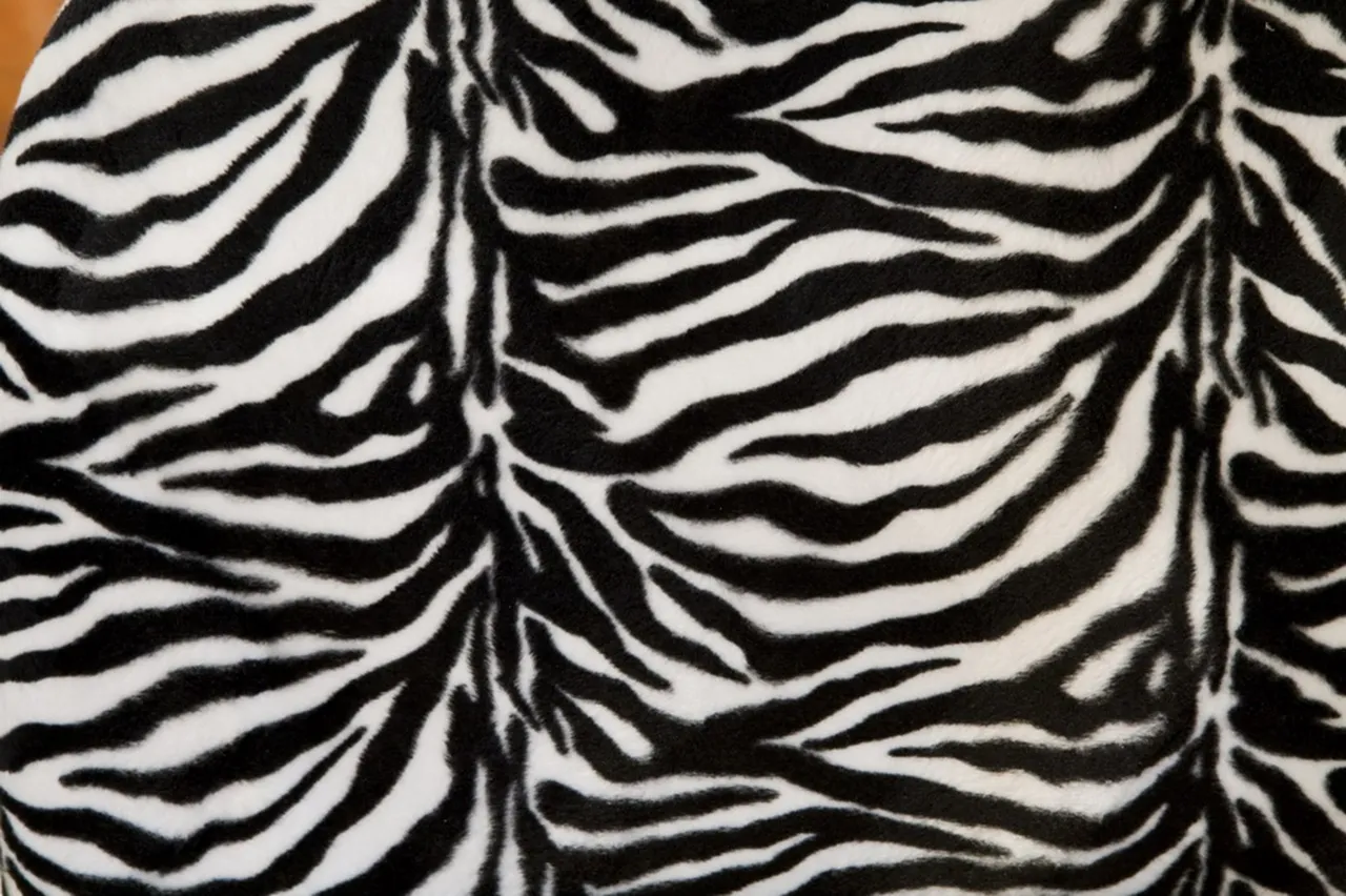 2 dekorative antike Armlehnstühle mit Zebra-Muster