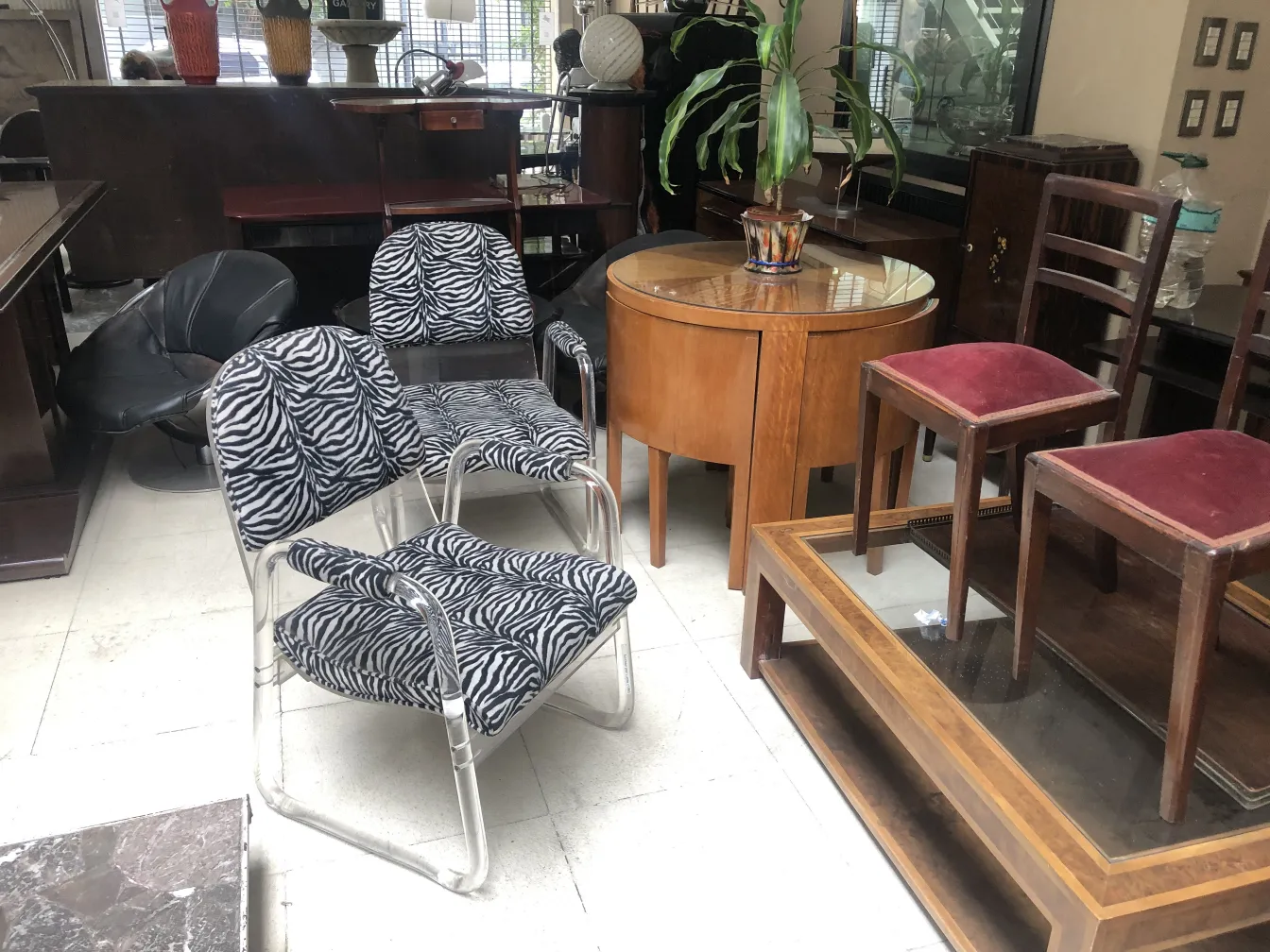 deux fauteuils anciens avec un motif zèbre dans un cadre accueillant