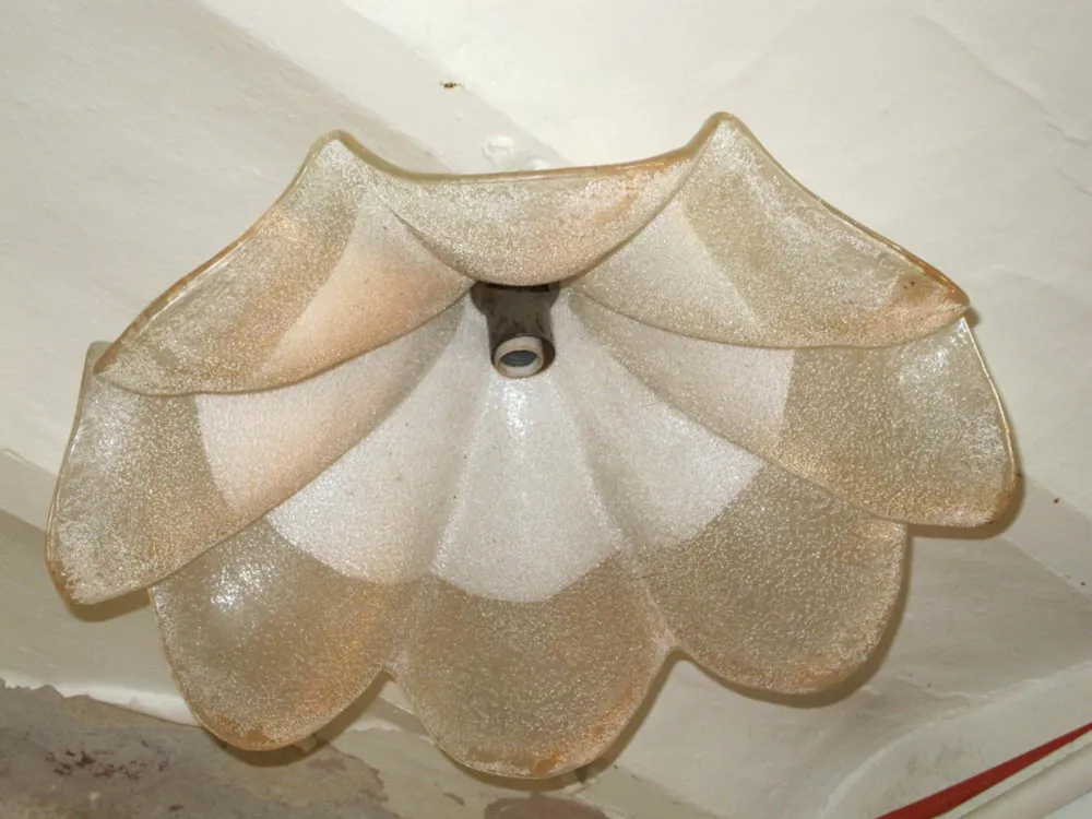 Lustre ancien Murano avec design de pétales clairs.