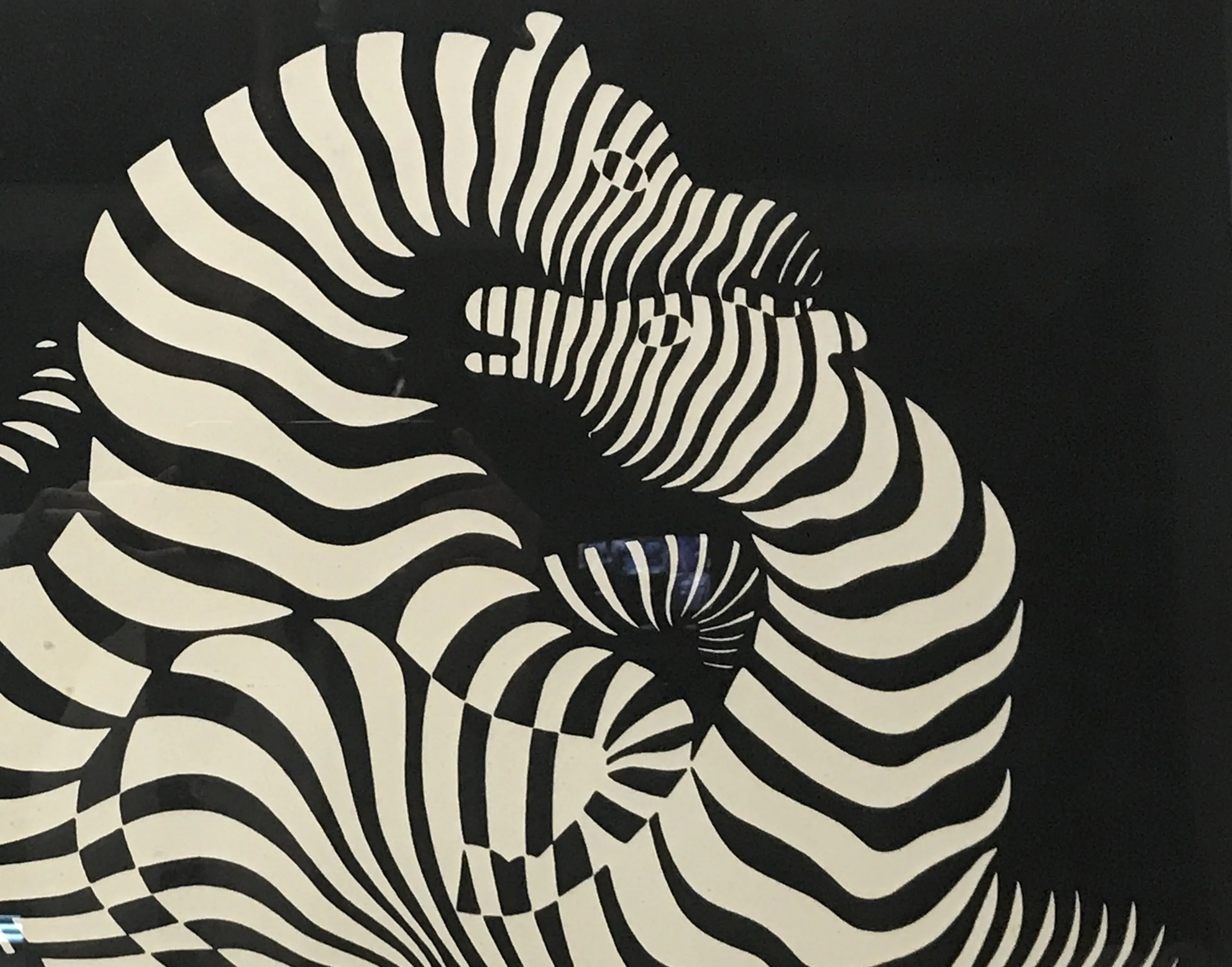 ilustracion abstracta en blanco y negro, forma ondulada