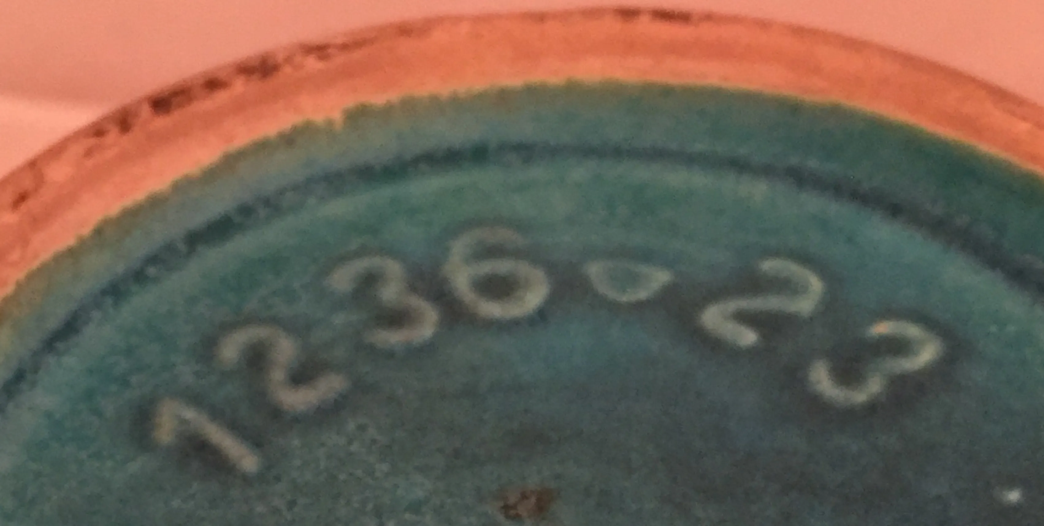 Antica ceramica con dettagli in colori tenui e uno stile classico.
