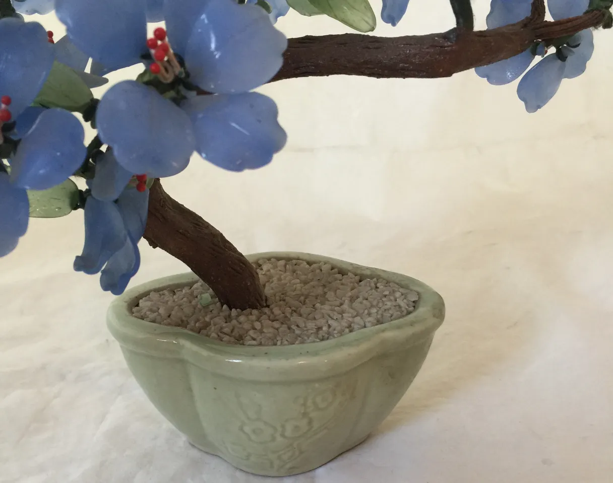 Bonsai antigo com flores azuis em vaso