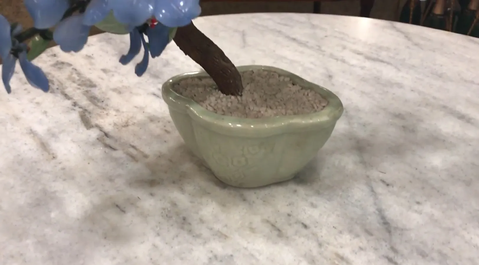 Bonsai antigo em vaso decorativo com pedras. Estilo natural.