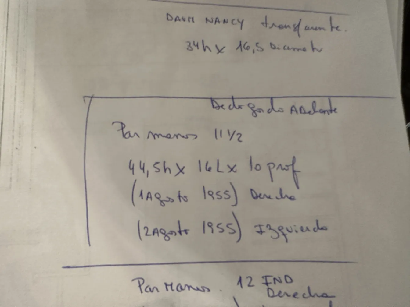 Antike 11 1/2 Keramikhände vor neutralem Hintergrund