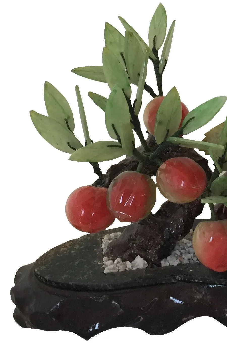bonsai antico fruttifero con abbondanti frutti rossi