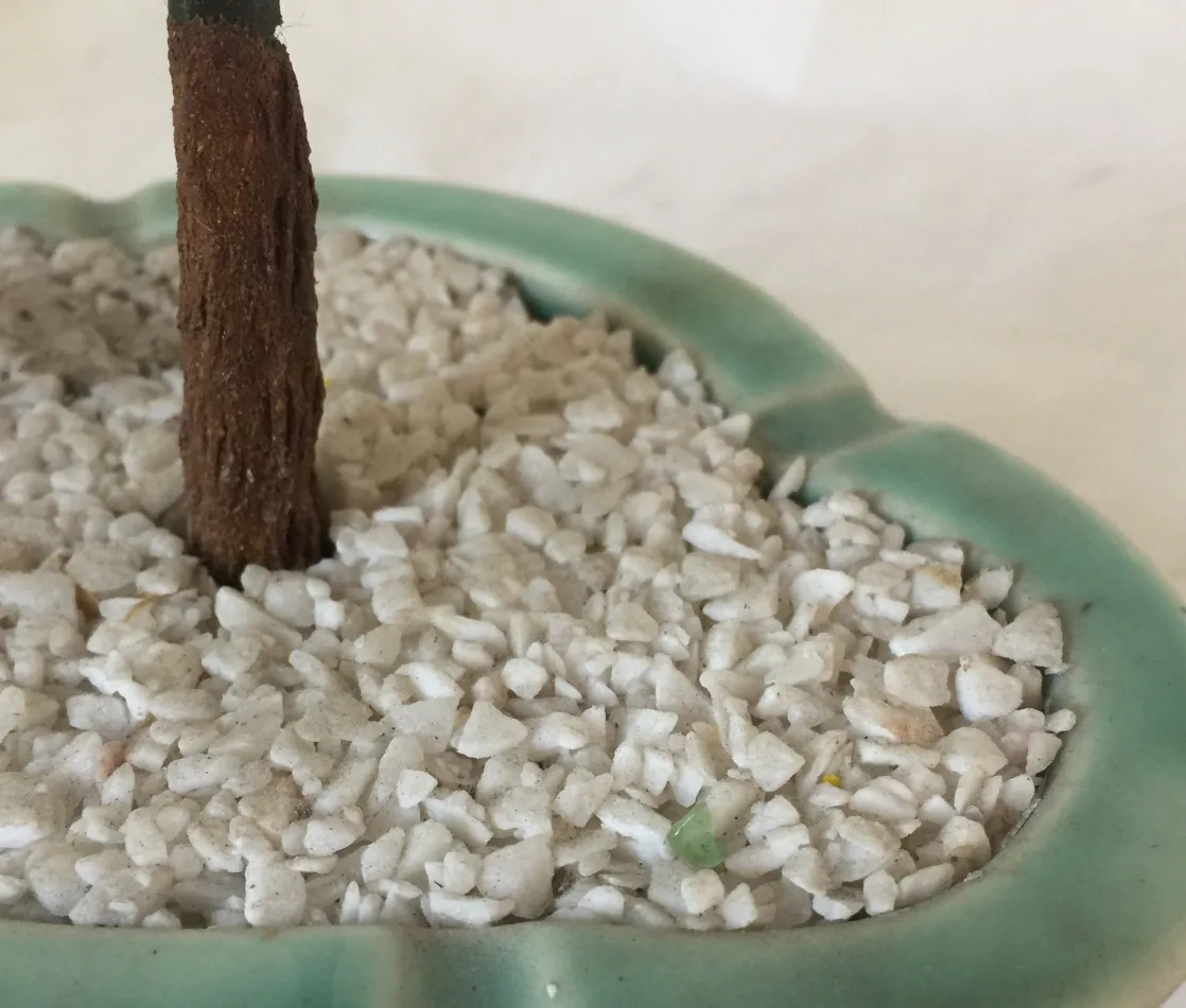 An antique bonsai with a brown trunk in white gravel.