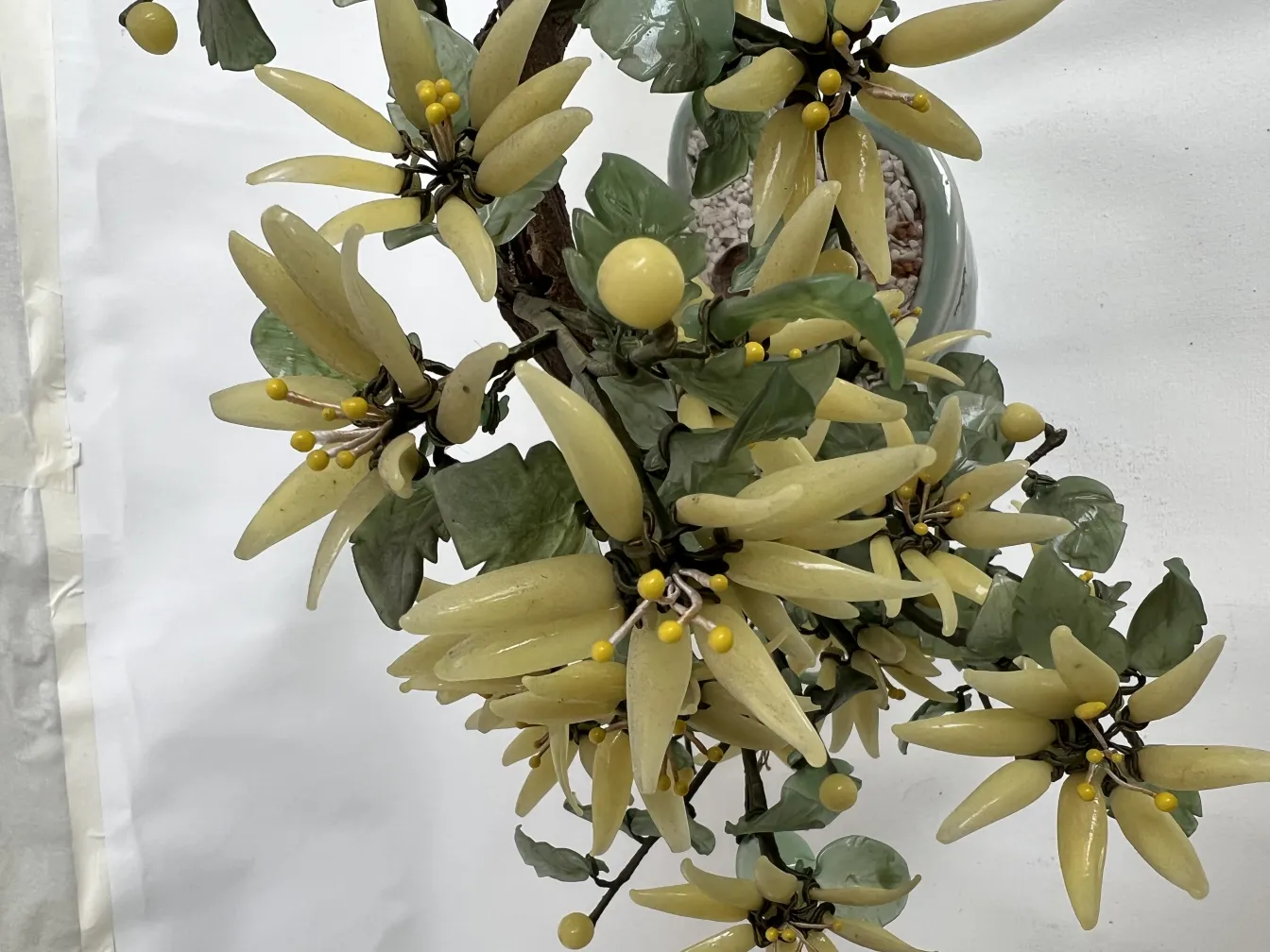 古い盆栽、黄色の花と緑の葉を持つ。