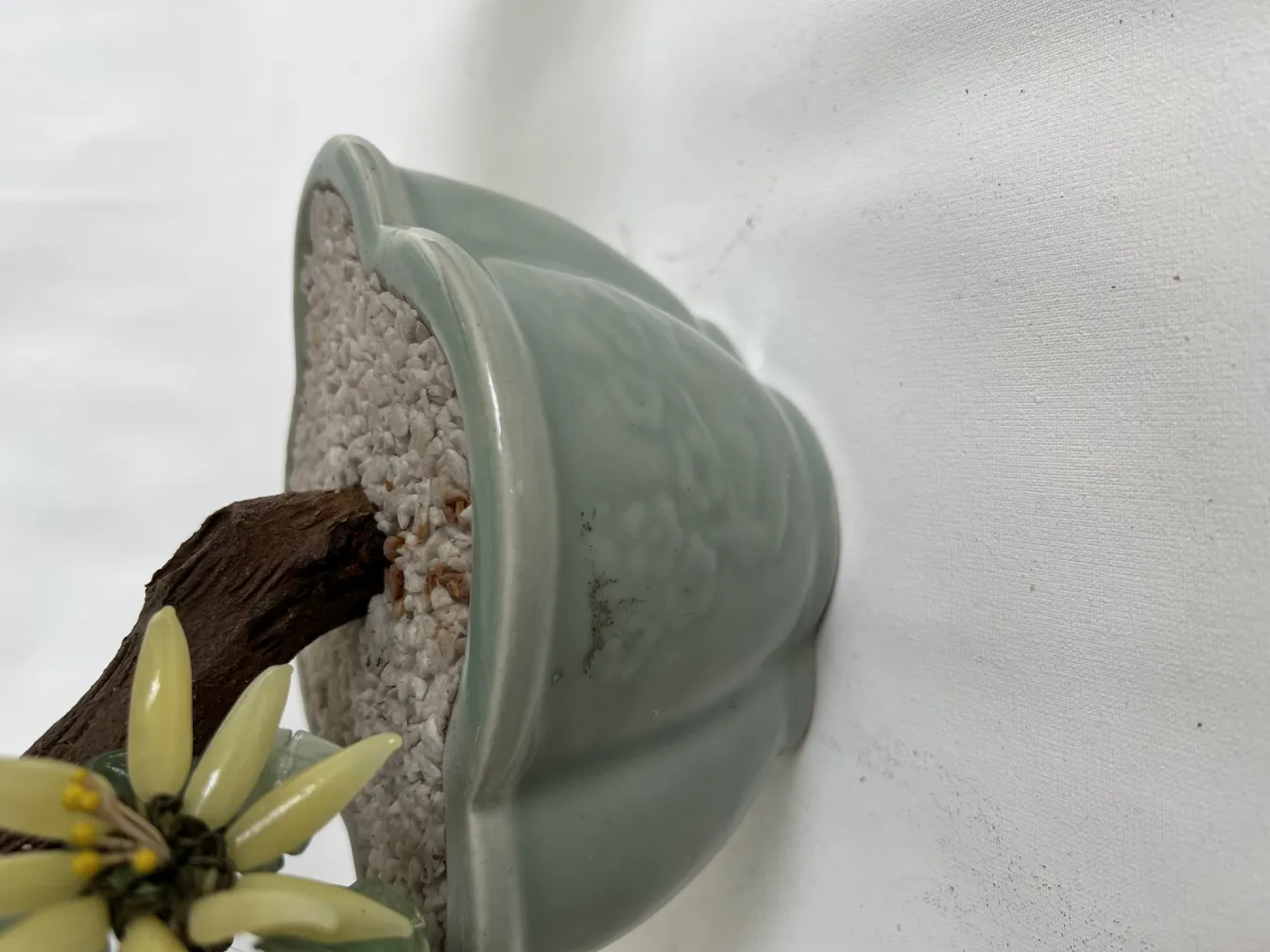 Bonsai ancien dans un pot en céramique verte avec des fleurs.