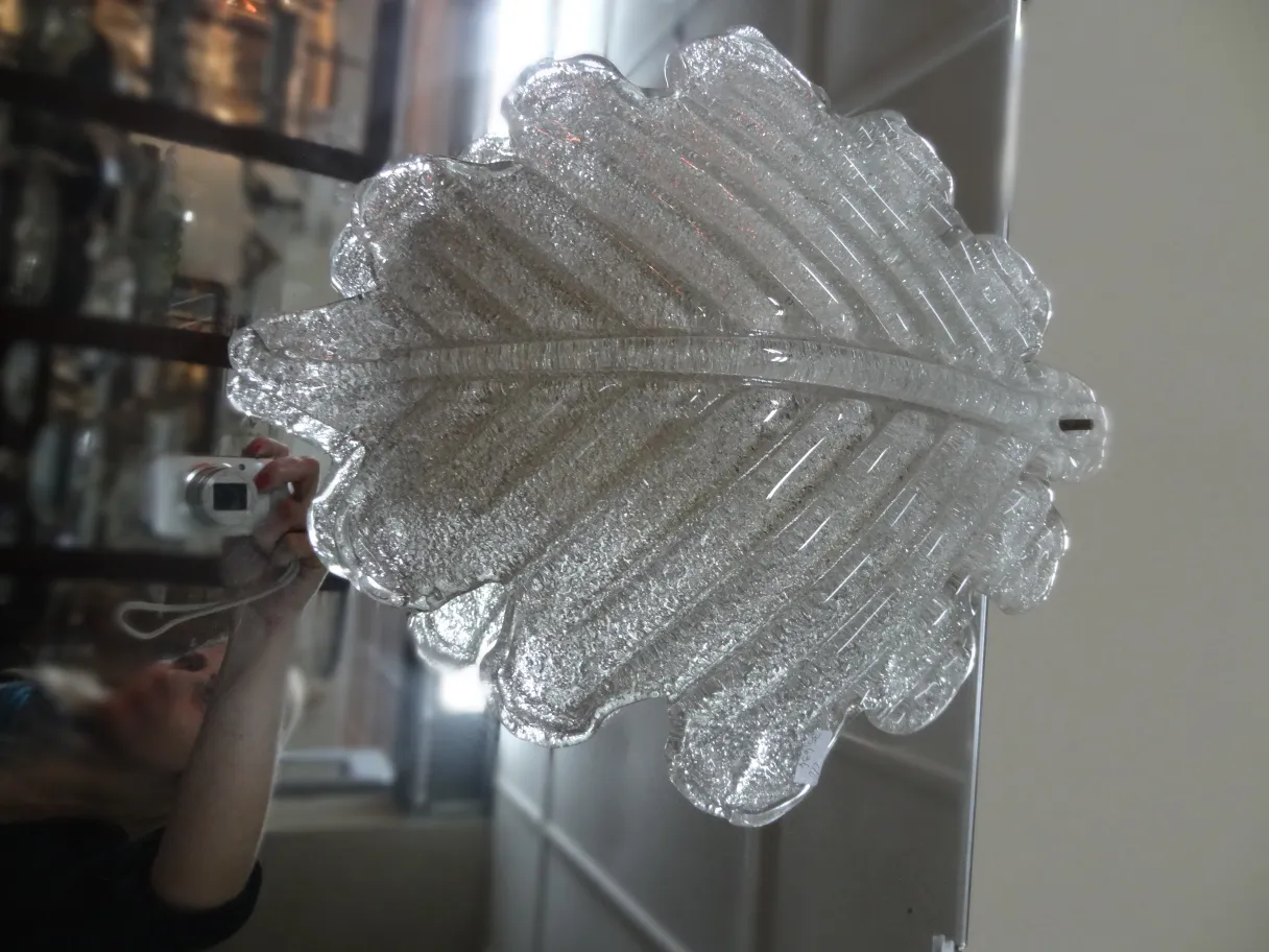 Belle applique a forma di foglia, trasparenti, perfette per decorazioni antiche.