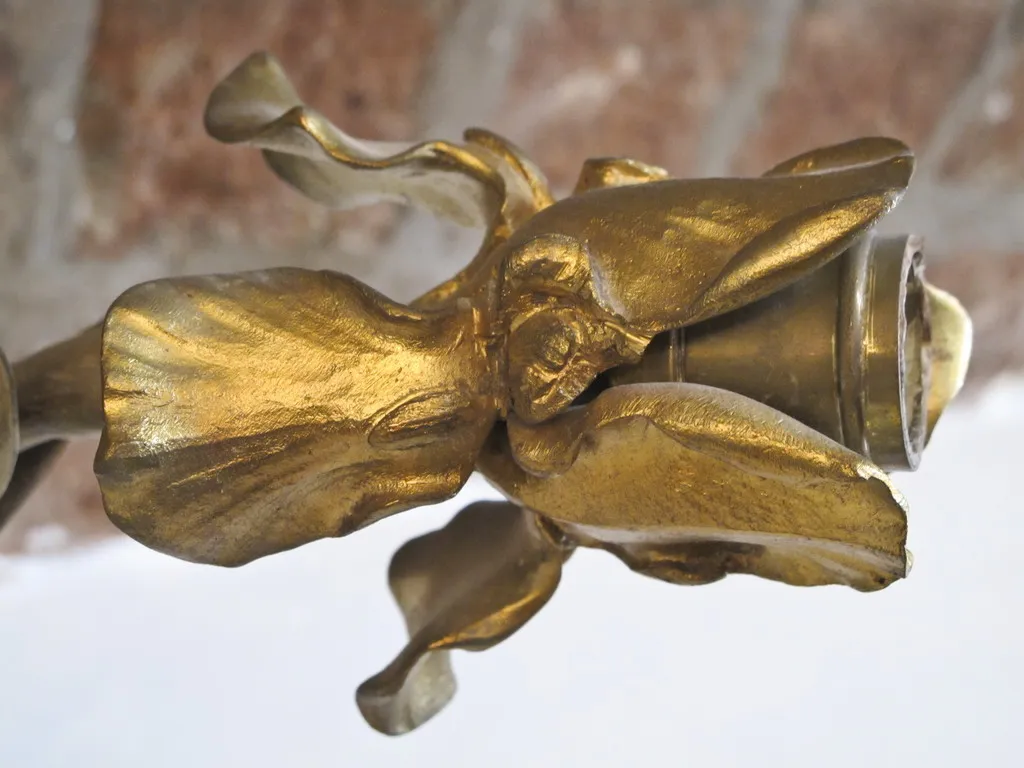 Paire d'appliques anciennes avec design d'orchidée, élégant et détaillé, atmosphère accueillante.