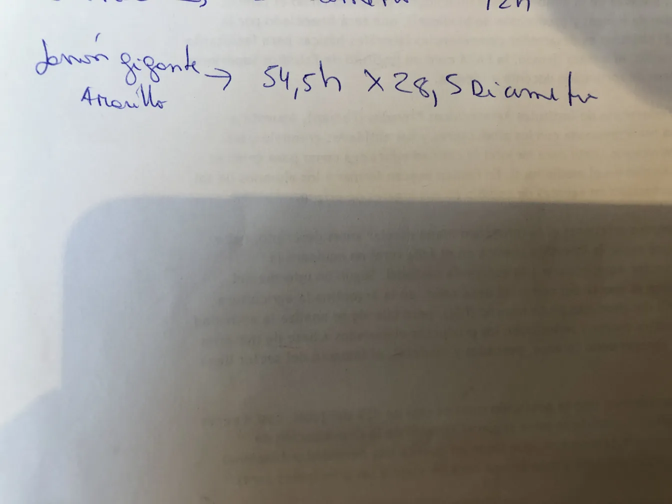 Antike Keramik handgefertigt mit bunten Details.