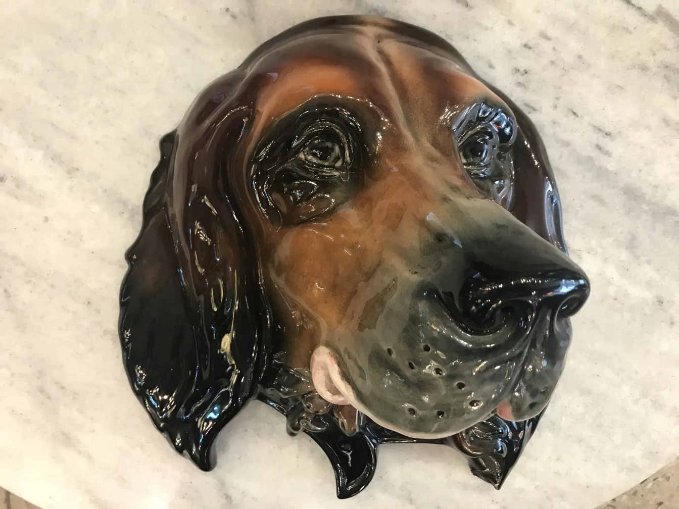 Testa di cane in ceramica antica, dettagli lucidi