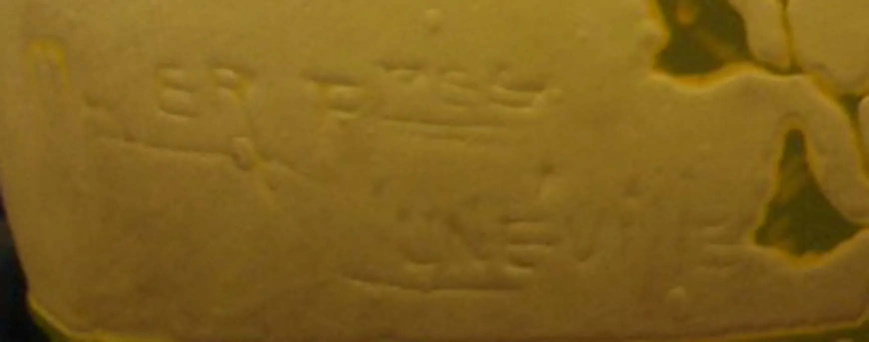 antiguo sello con inscripción Muller Fres Lunéville