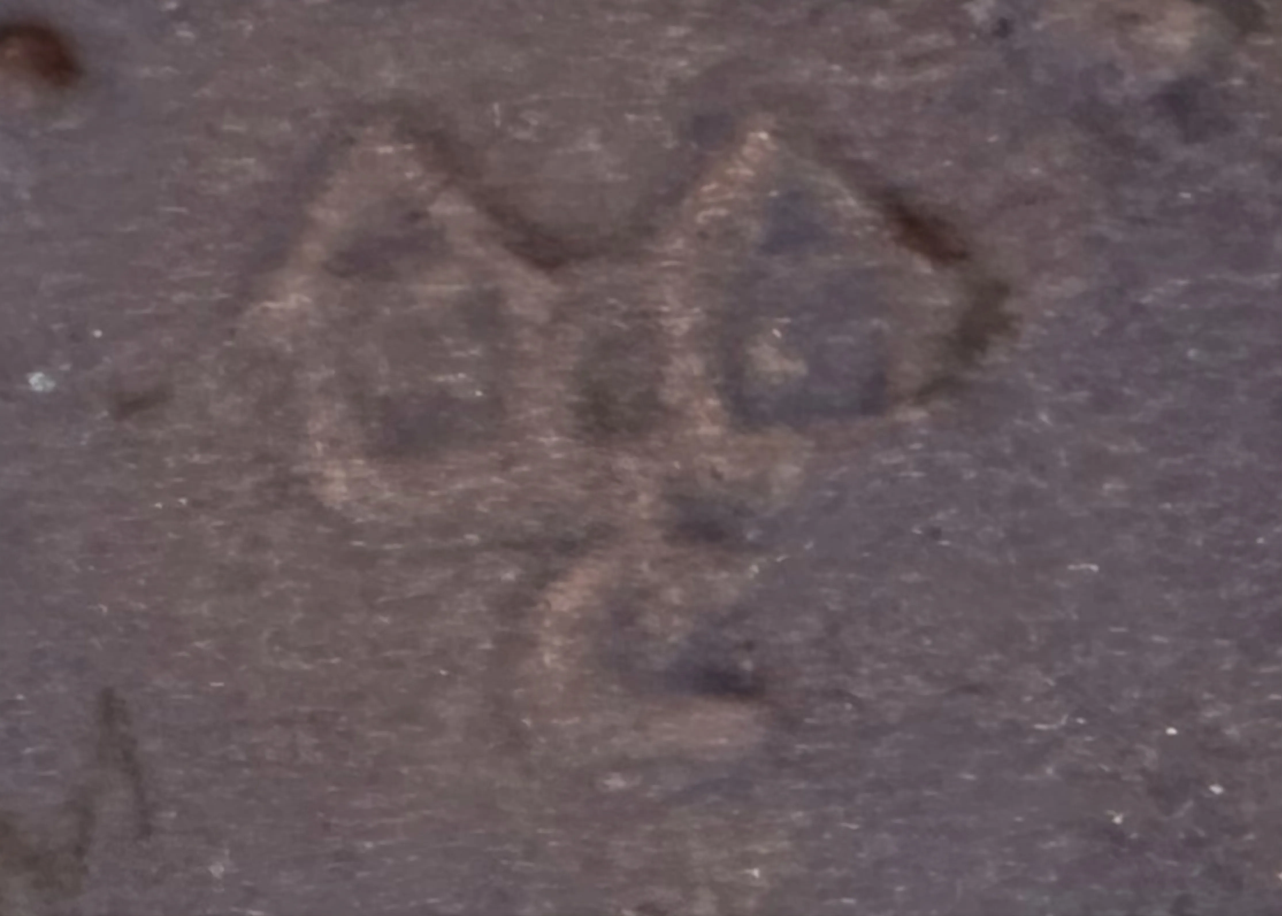古代印章 Carstens Tönnieshof、浮き彫りデザイン付き