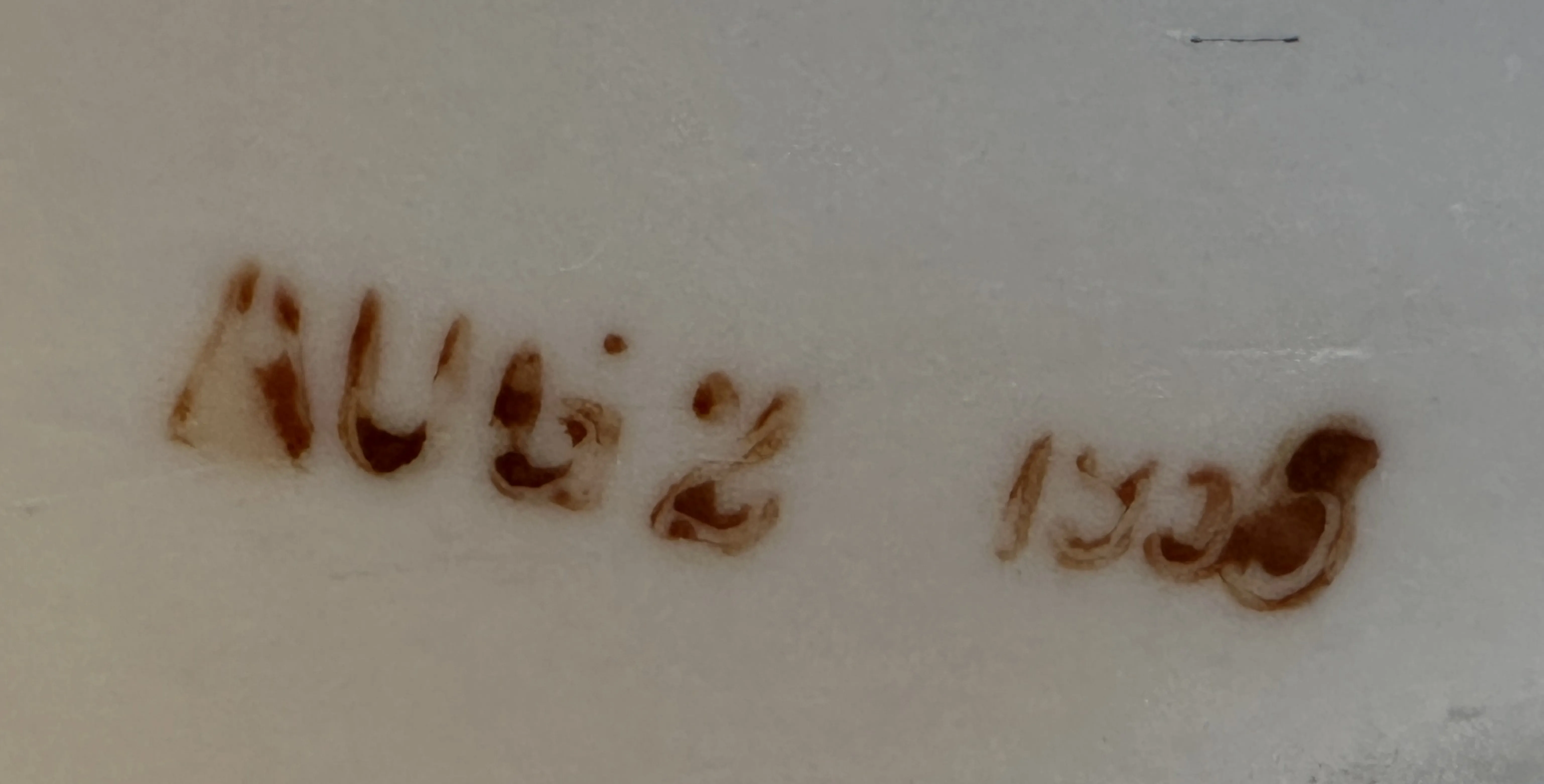 明るい背景にaugの文字が刻まれた古い印章