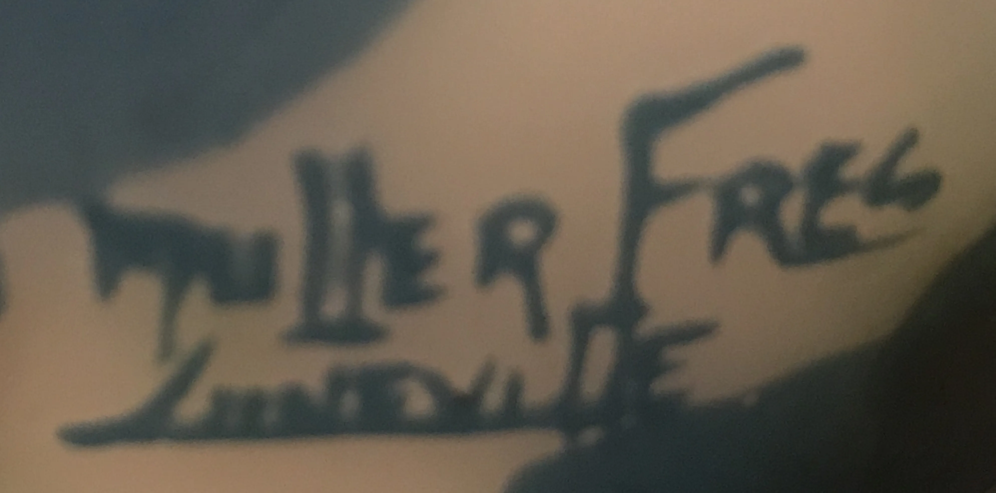 древняя печать Muller Fres Luneville с тонкими деталями