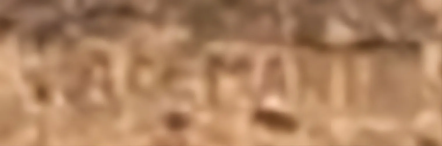ختم قديم لألمانيا مع نقوش مرئية.